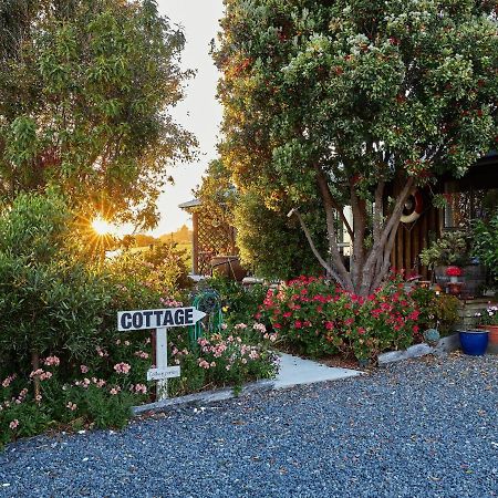Barnacle Bills Villa Kaikoura Ngoại thất bức ảnh
