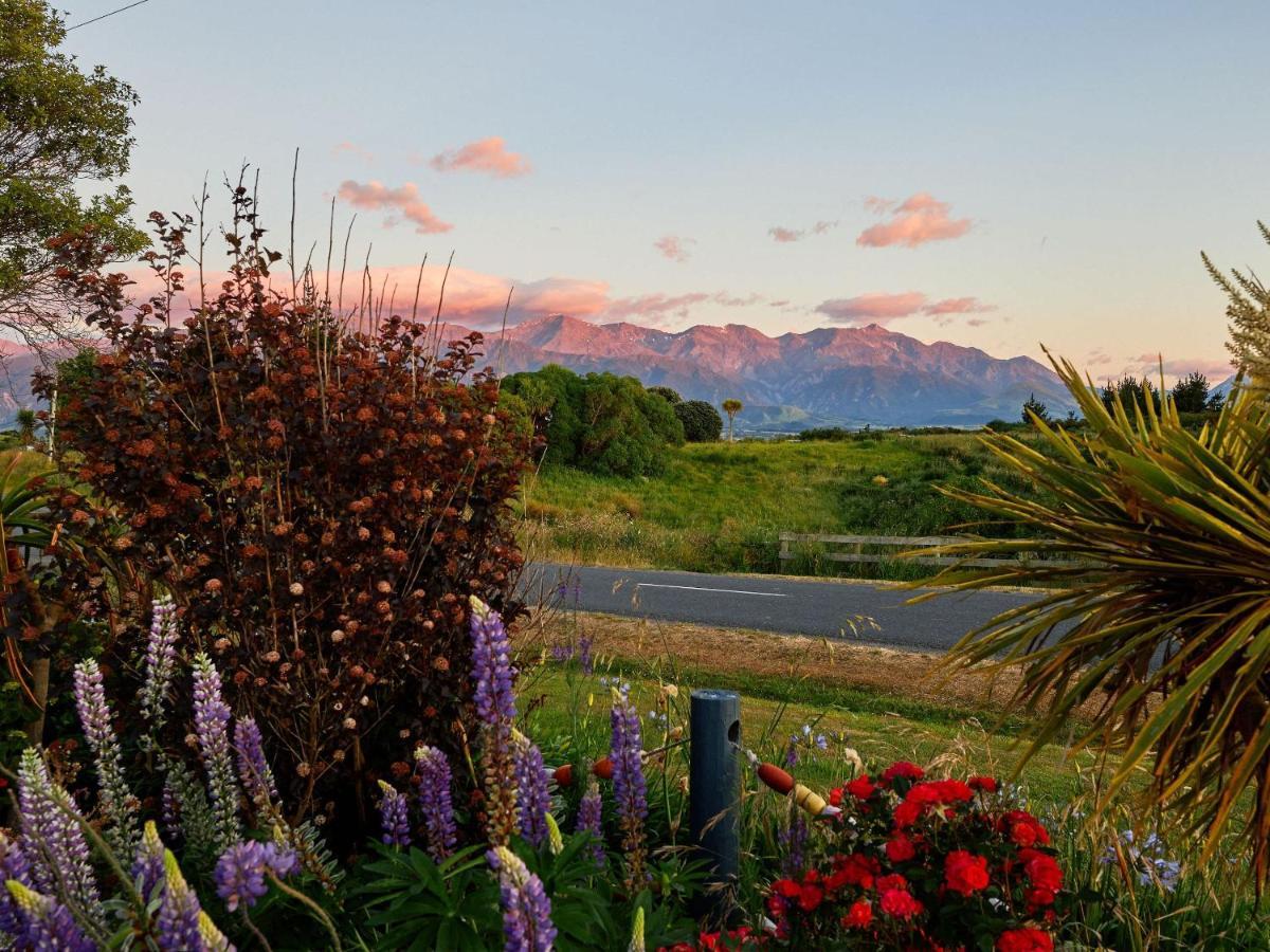 Barnacle Bills Villa Kaikoura Ngoại thất bức ảnh